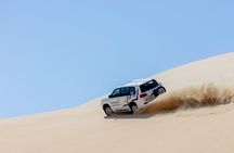 Half-Day Doha Desert Safari