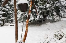 Full day hiking with snowshoes on Vitosha from Sofia