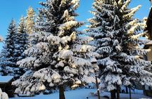 Full day hiking with snowshoes on Vitosha from Sofia