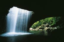 Natural Bridge and Springbrook tour