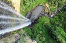 Natural Bridge and Springbrook tour