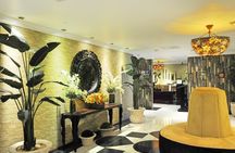 A mariachi night in Plaza Garibaldi and dinner at Bellini restaurant