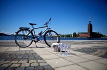 Stockholm at a glance bike tour