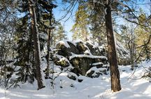 Snowshoe adventure from Stockholm