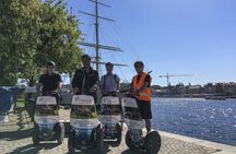 Stockholm self-balancing scooter tour