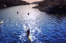 Stockholm archipelago: overnight kayaking and camping trip