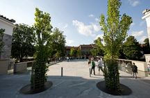 Historical city center and Ljubljana Castle tour
