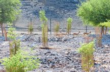 Full-day Hatta safari from Dubai