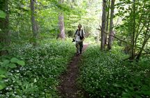 Guided day-trip in the wilderness including bog shoeing and canoeing