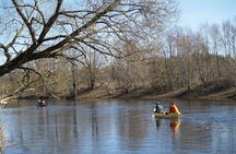 Self-guided canoe day-trip from Pärnu