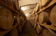 Edoardo Miroglio boutique winery private tour from Sliven