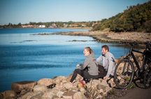 Self-guided tour all around Øresund