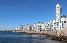 Copenhagen to Malmö one-day tour