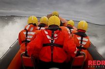 Off-shore RIB speed boat experience