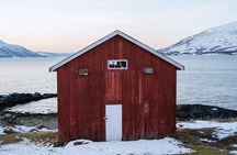 Winter Arctic landscapes small-group tour