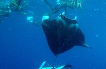 Private morning cruise and motu lunch in Bora Bora