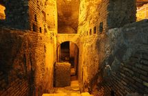 Trevi Fountain and Underground Domus Guided Tour