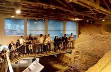 Trevi Fountain and Underground Domus Guided Tour