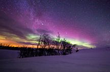 Aurora chase with professional photographers