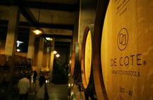 Queretaro wine and cheese private tour from Mexico City