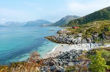 Summer Arctic landscapes