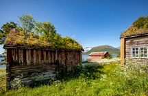 Summer Arctic landscapes