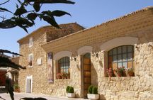 Full-day wine tour and visit to Goya's birthplace