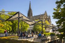 Explore Basel's art and culture with a local