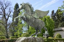 Art and culture in Salzburg with a local