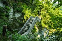 Culture and traditions private hike through the Black Forest