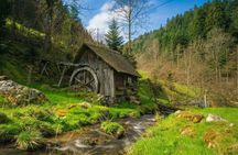 Culture and traditions private hike through the Black Forest