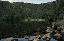 Panorama private hike through the Black Forest with a Local
