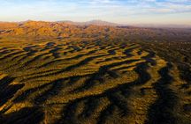 Sunset Sonoran Desert Jeep Tour