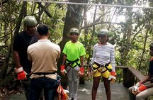 Zip Line Adventure in Anton Valley