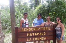 Eco-Adventure and Sloth Sanctuary Tour from Panama City