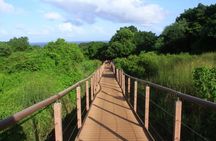 Costa dos Mirantes guided tour