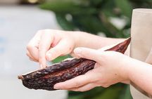 Chocolate tour at the Chocolatarium