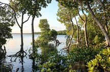 Mida Creek Boat Ride and Snorkeling at Watamu Marine Park