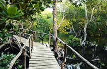 Mida Creek Boat Ride and Snorkeling at Watamu Marine Park