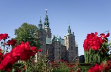 Small group 3-hour walking tour in Copenhagen