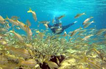 4x4 off-road island discovery full-day tour