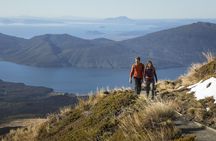 Return transfer to Tongariro Alpine Crossing from Tūrangi
