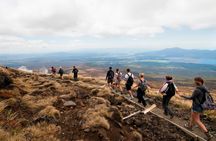 Return transfer to Tongariro Alpine Crossing from Tūrangi