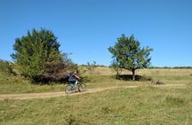 Private biking tour in Burzenland, the Little Transylvania, from Brazov
