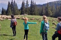 Piatra Craiului National Park private hiking tour from Brasov