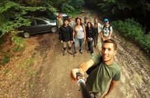 Small-group Brown Bear-watching experience from Brasov