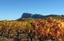 Pic Saint-Loup wine tasting experience for small groups