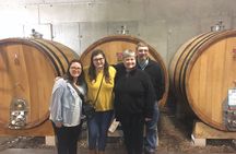 Pic Saint-Loup wine tasting experience for small groups