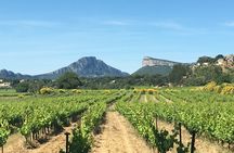 Pic Saint-Loup wine tasting experience for small groups