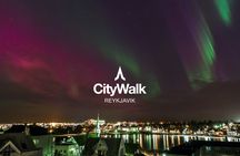Private Reykjavik city walking tour
